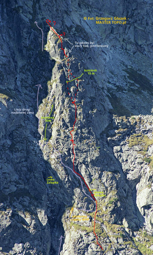 12_Korosad_Pr_detal_120dpi Piotrek_szer 512